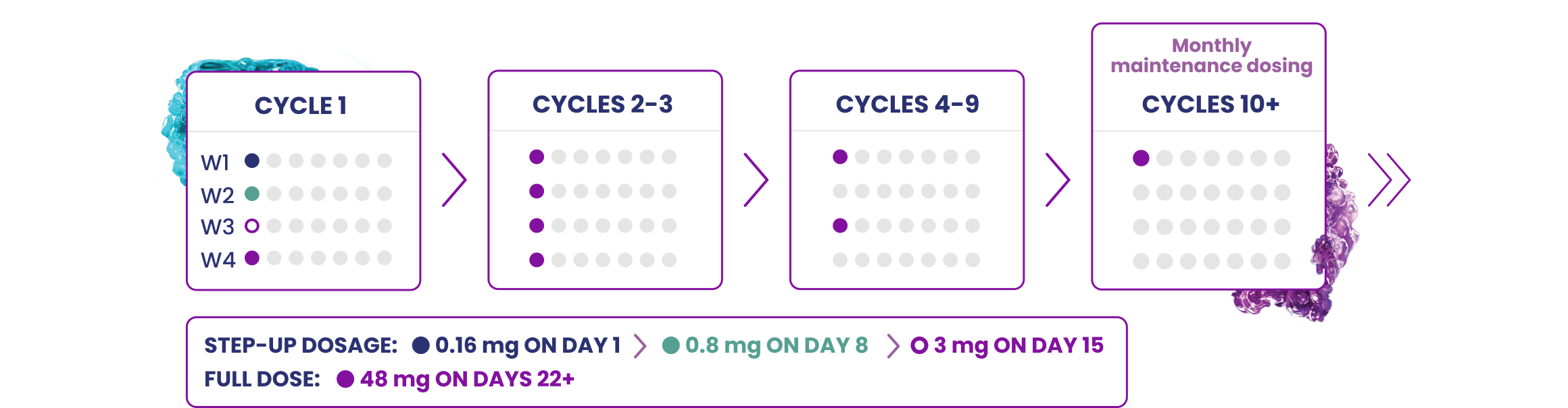 EPKINLY® is dosed in four-week cycles. Cycle 1 utilizes step-up dosage on days 1 (0.16 mg), 8 (0.8 mg), 15 (3 mg) and beyond (48 mg). Cycles 2 through 3 are administered every week (48 mg), cycles 4 through 9 are administered every two weeks (48 mg) and cycles 10 and after (monthly maintenance dosing) are administered every 4 weeks (48 mg). 