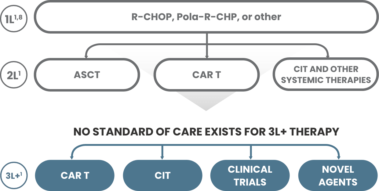 R-­CHOP or other treatments are used to treat first-line DLBCL patients. ASCT, CAR T, CIT and other systemic therapies are used to treat second-line DLBCL patients. A standard of care for third-line + DLBCL patients does not exist. Currently, third-line DLBCL patients are treated with CAR T, CIT, clinical trials and novel agents. 